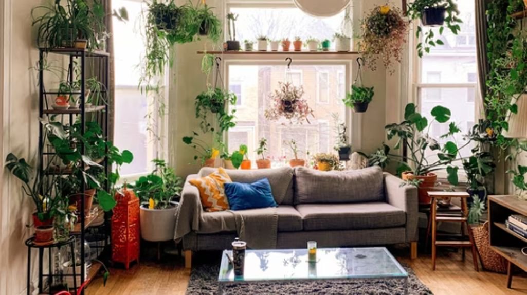 What Are the Most Common Air Quality Issues in Homes and Offices?